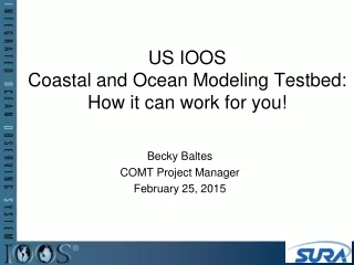 US IOOS  Coastal and Ocean Modeling Testbed: How it can work for you!