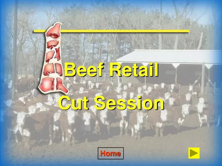 beef retail cut session
