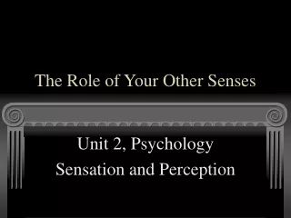 The Role of Your Other Senses