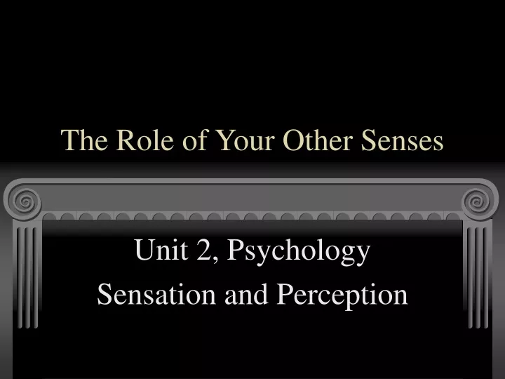 the role of your other senses