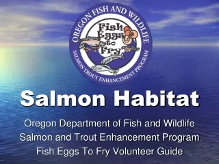 Salmon Habitat