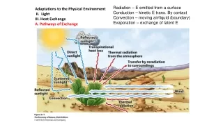 Adaptations to the Physical Environment  II.  Light III. Heat Exchange A. Pathways of Exchange