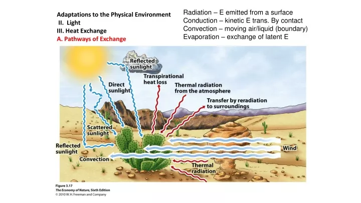 radiation e emitted from a surface conduction