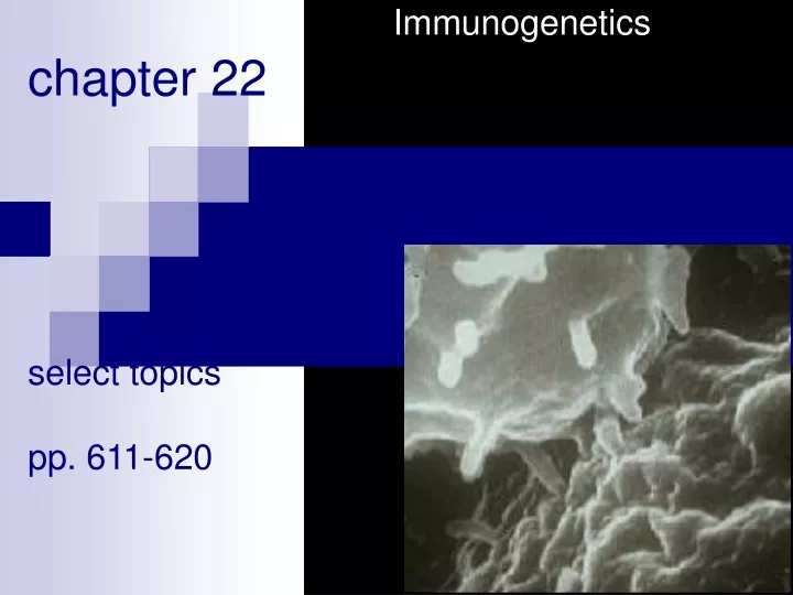immunogenetics chapter 22 select topics pp 611 620
