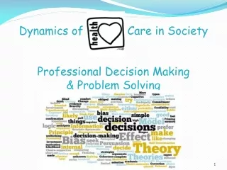 Dynamics of             Care in Society Professional Decision Making  &amp; Problem Solving