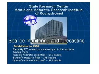Sea ice monitoring and forecasting
