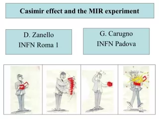 Casimir effect and the MIR experiment