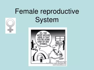 Female reproductive System