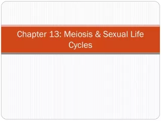 Chapter 13: Meiosis &amp; Sexual Life Cycles