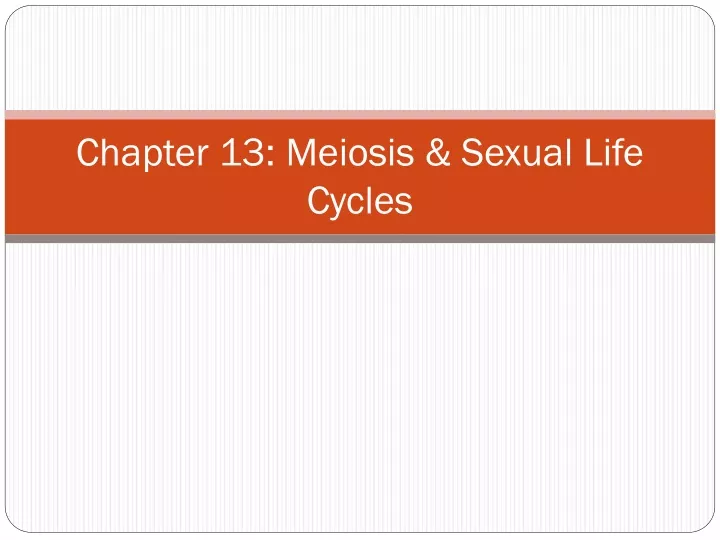 chapter 13 meiosis sexual life cycles