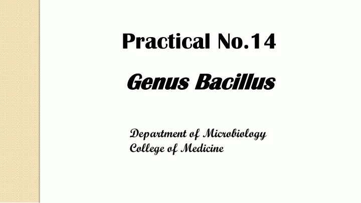practical no 14 genus bacillus