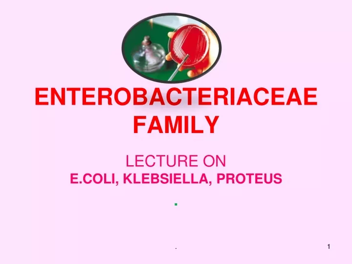 enterobacteriaceae family