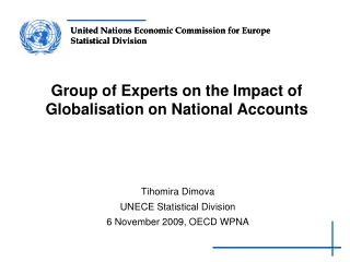Group of Experts on the Impact of Globalisation on National Accounts