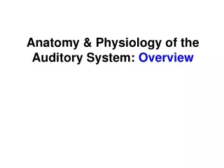 Anatomy &amp; Physiology of the Auditory System:  Overview