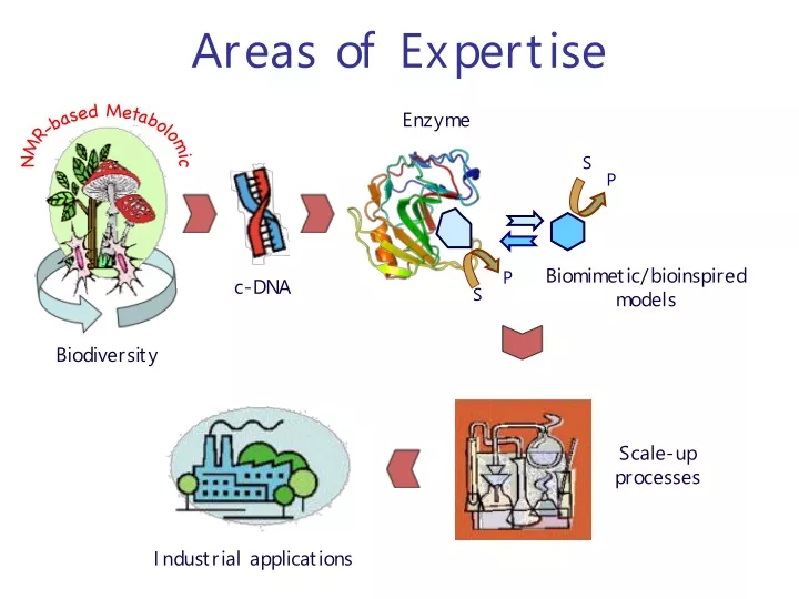 areas of expertise