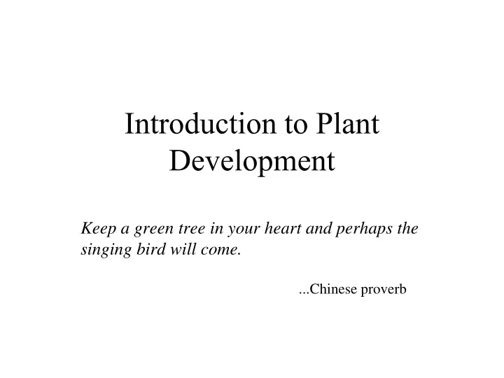 introduction to plant development