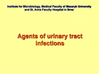 Agents of urinary tract infections