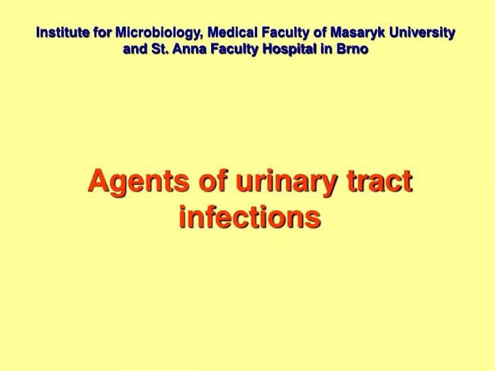 agents of urinary tract infections