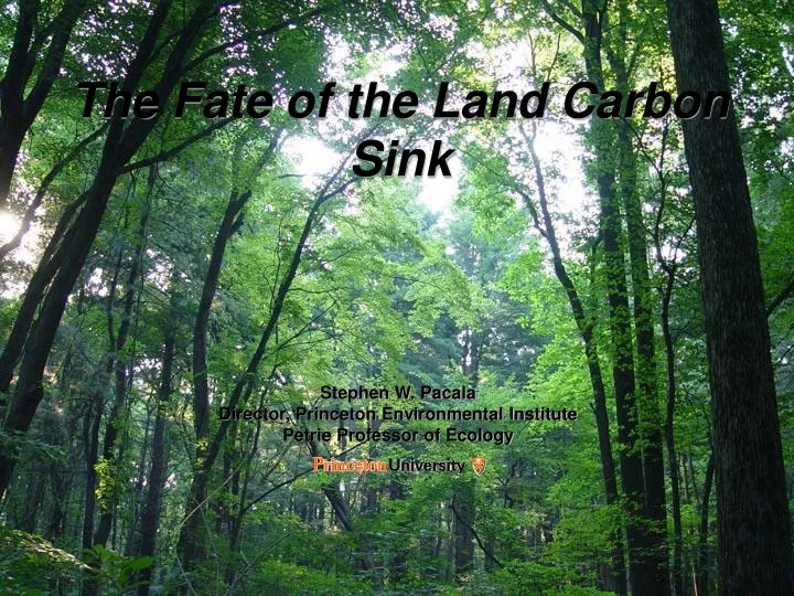 the fate of the land carbon sink