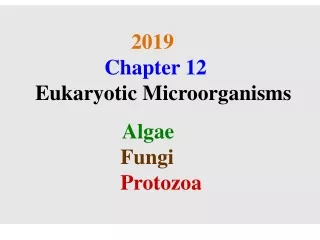 2019                    Chapter 12       Eukaryotic Microorganisms Algae Fungi Protozoa