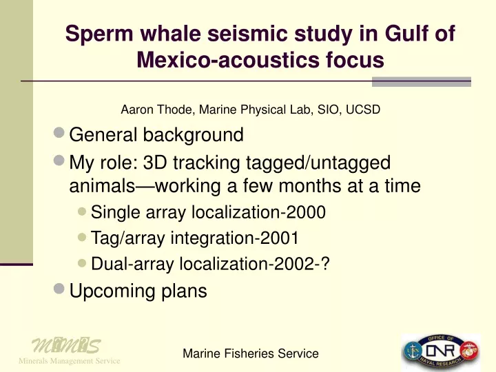 sperm whale seismic study in gulf of mexico acoustics focus