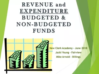 REVENUE and  EXPENDITURE  BUDGETED &amp; NON-BUDGETED FUNDS
