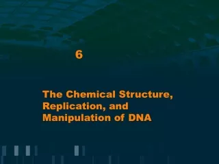 The Chemical Structure, Replication, and Manipulation of DNA