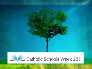‘Catholic Schools  -  Rooted in Jesus Christ’