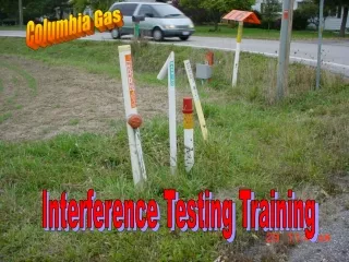 Interference Testing Training