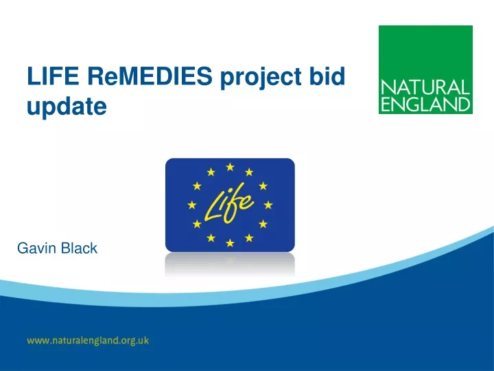 life remedies project bid update