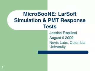 MicroBooNE: LarSoft Simulation &amp; PMT Response Tests