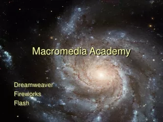 Macromedia Academy