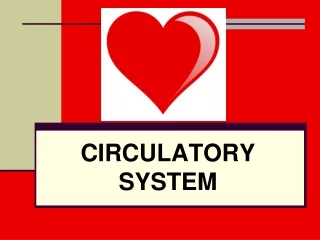 CIRCULATORY SYSTEM