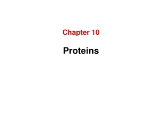 Chapter 10 Proteins