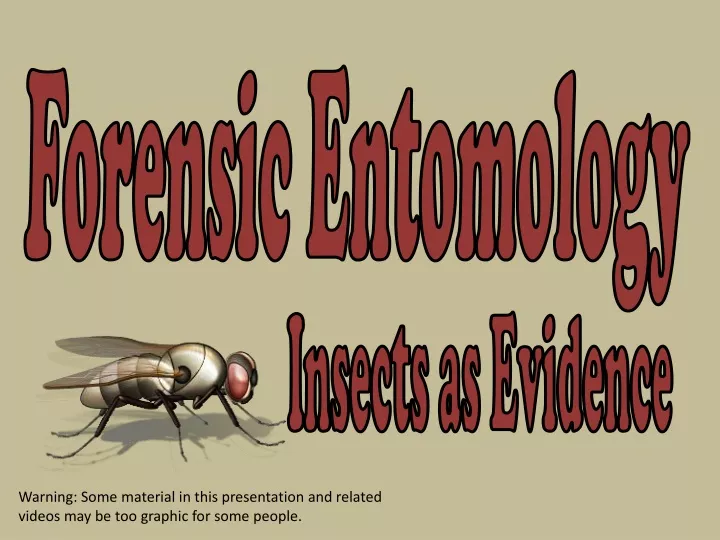 forensic entomology