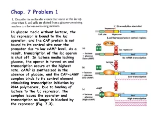 Chap. 7 Problem 1