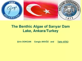 The Benthic Algae of Sarıyar Dam Lake, Ankara/Turkey