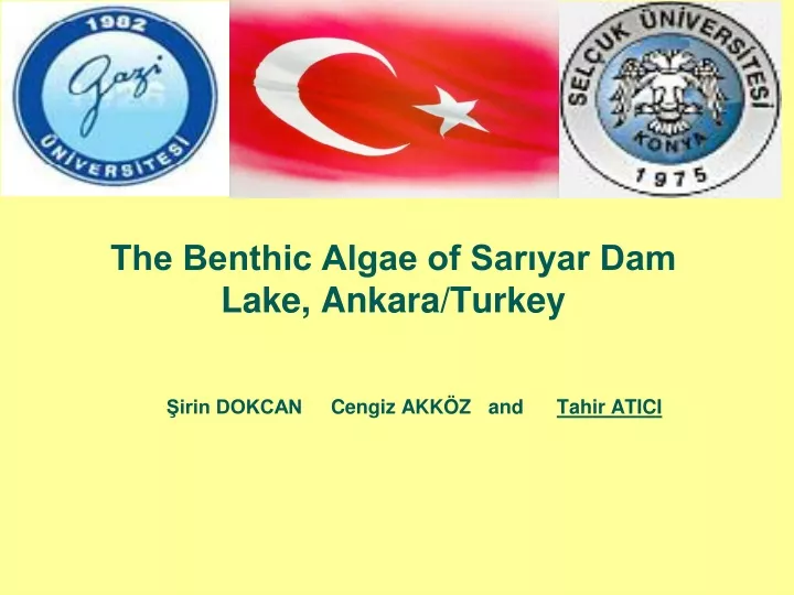 the benthic algae of sar yar dam lake ankara turkey