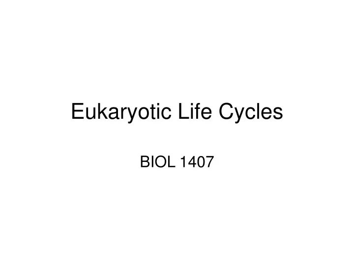 eukaryotic life cycles