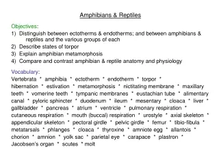 Amphibians &amp; Reptiles Objectives :