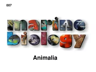 Animalia