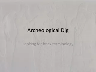 Archeological Dig
