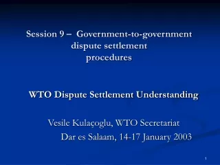Session 9 –  Government-to-government dispute settlement procedures
