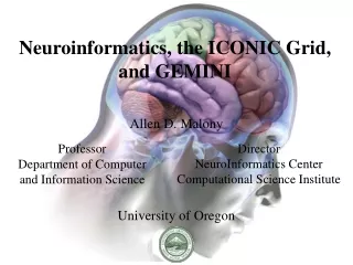 Neuroinformatics, the ICONIC Grid, and GEMINI