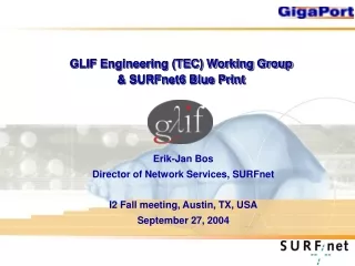 GLIF Engineering (TEC) Working Group &amp; SURFnet6 Blue Print