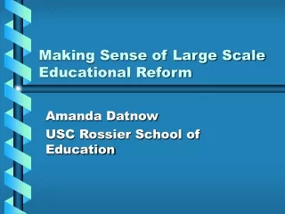 Making Sense of Large Scale Educational Reform