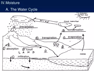 Moisture 	A.	The Water Cycle