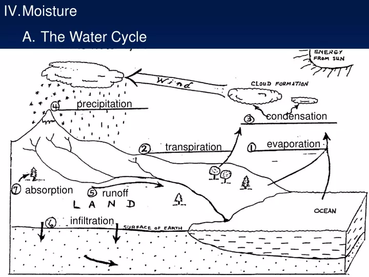 moisture a the water cycle