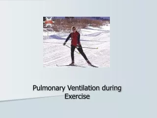 Pulmonary Ventilation during Exercise