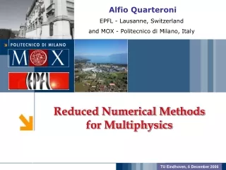 Reduced Numerical Methods for Multiphysics